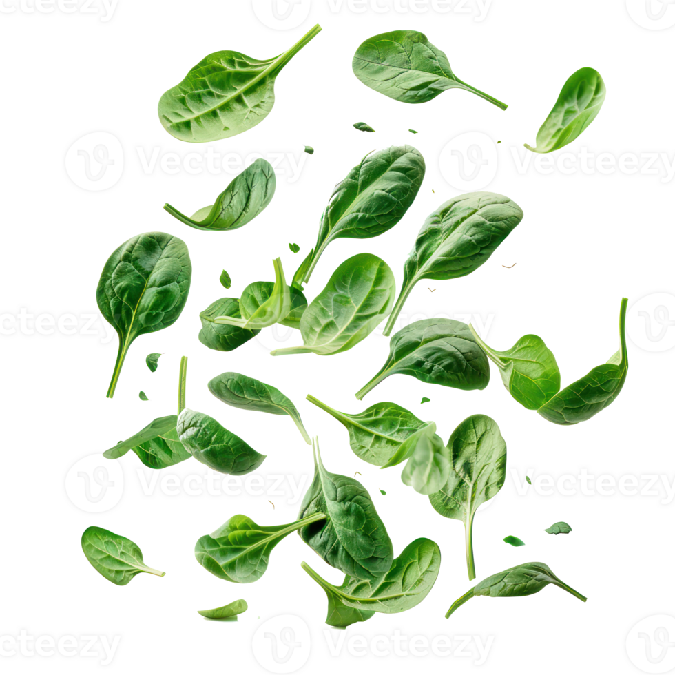 floated many Fresh spinach falling isolate on transparency background png