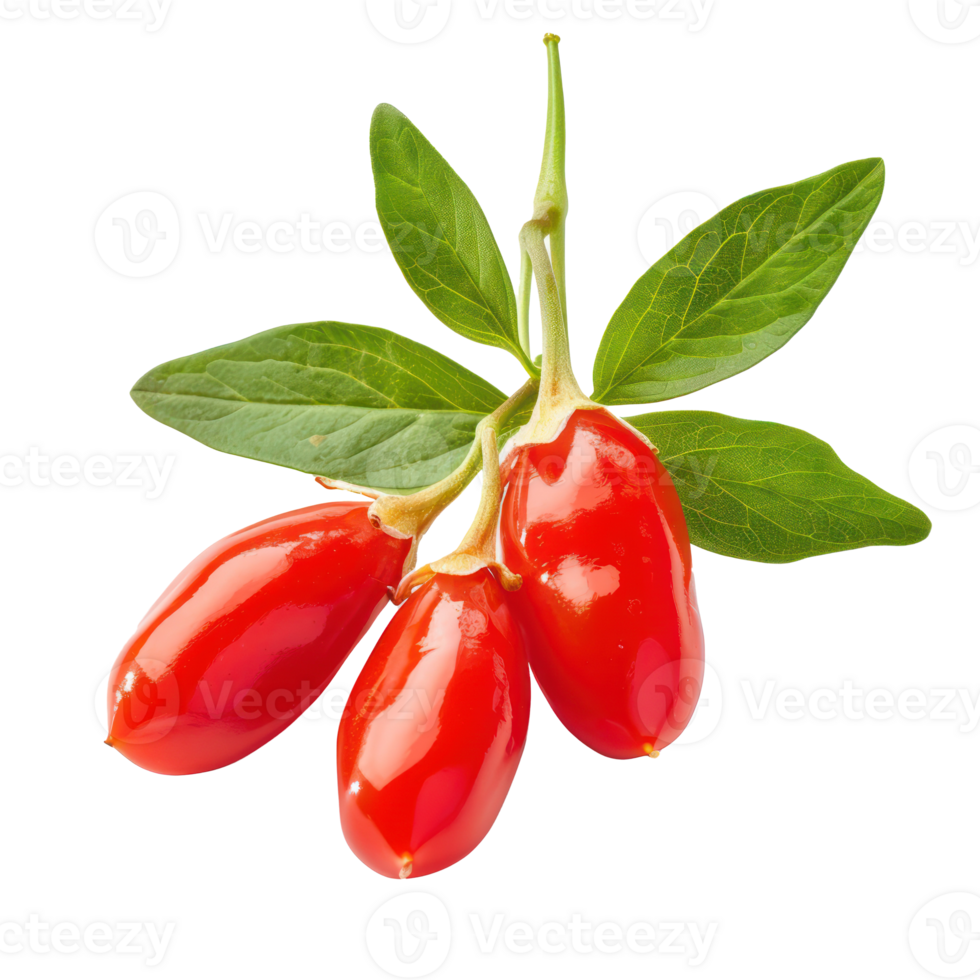 Fresh Goji berry with green leaves isolate on transparency background png
