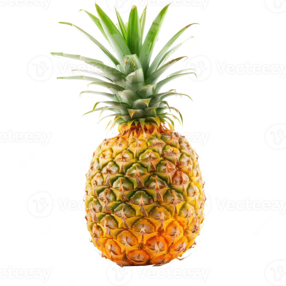 Pineapple side view full length isolate on transparency background png