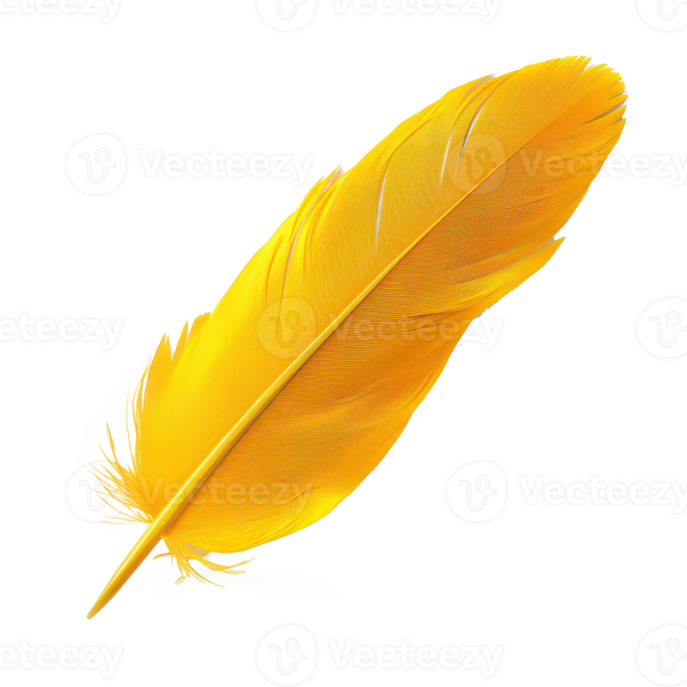 floated yellow feather isolate on transparency background png
