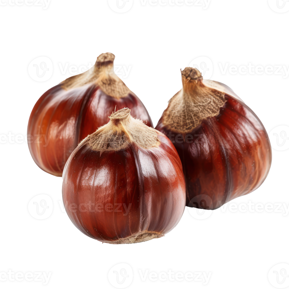 Closeup Chestnuts isolate on transparency background png