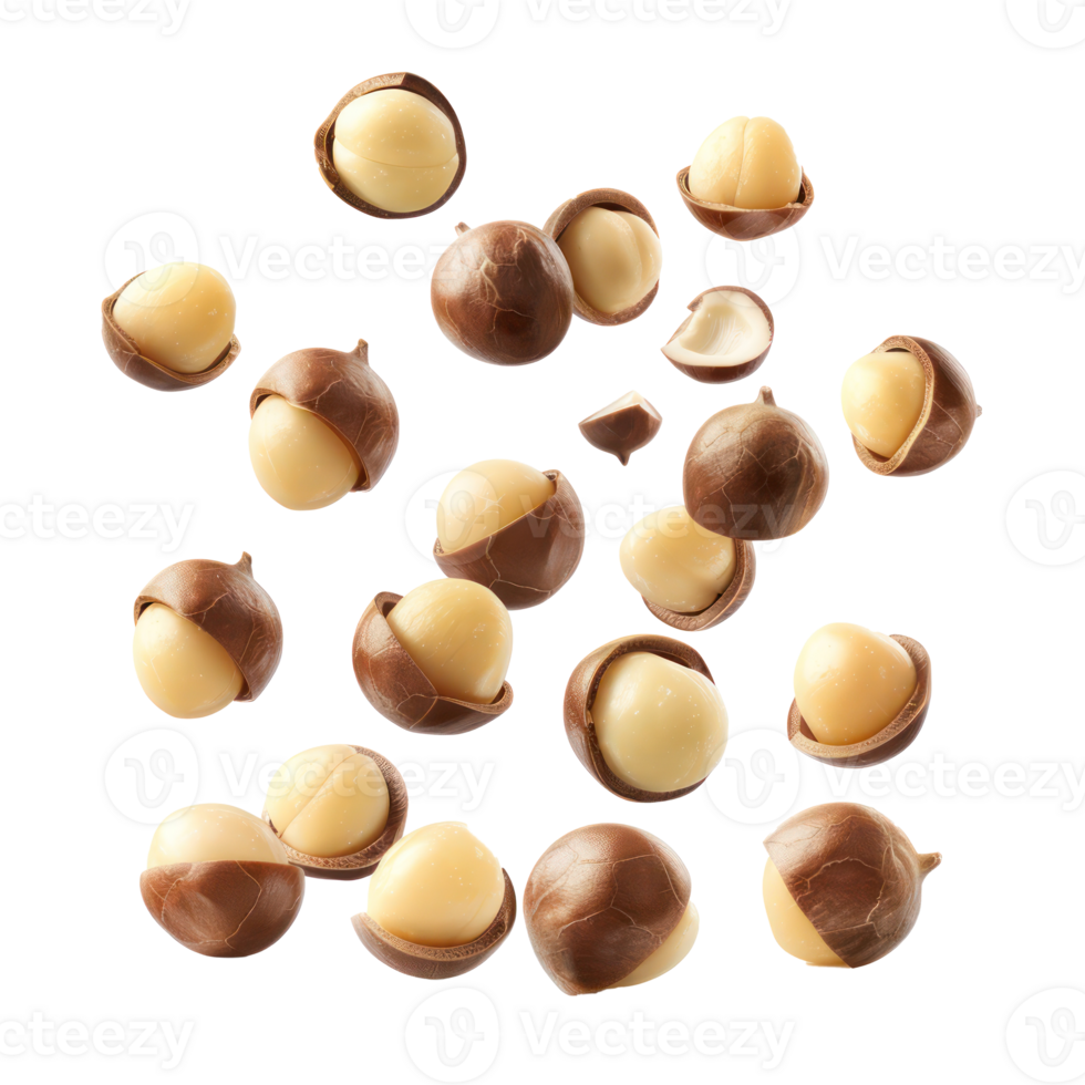 Falling Macadamia Nuts isolate on transparency background png