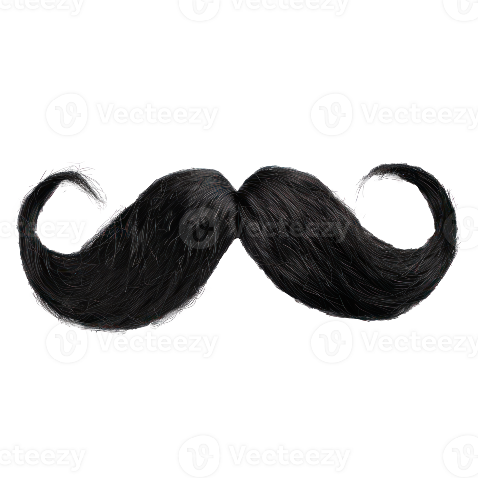 fake moustache isolate on transparency background png