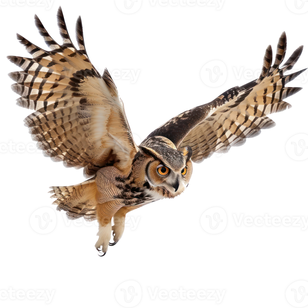 Owl fly full body isolate on transparency background png