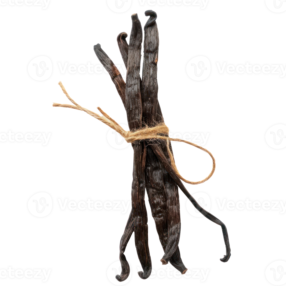 dry vanilla bean isolate on transparency background png