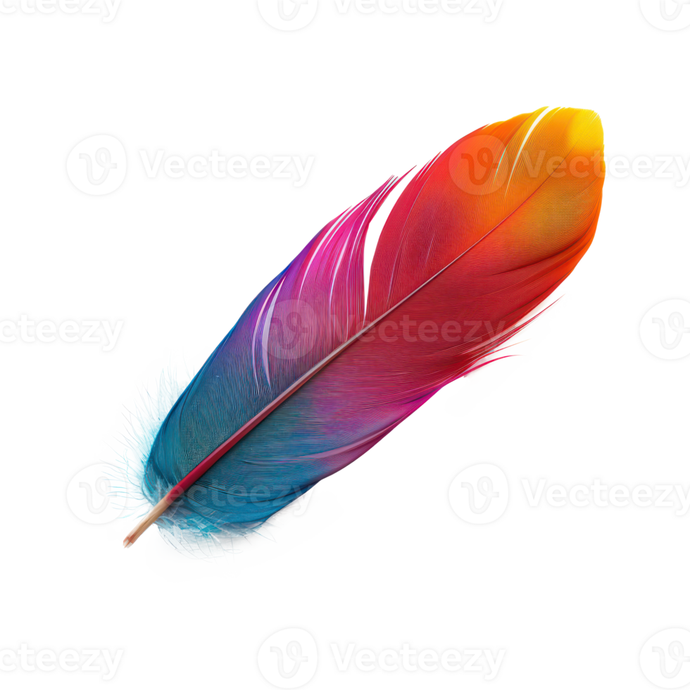 floated colorful feather isolate on transparency background png