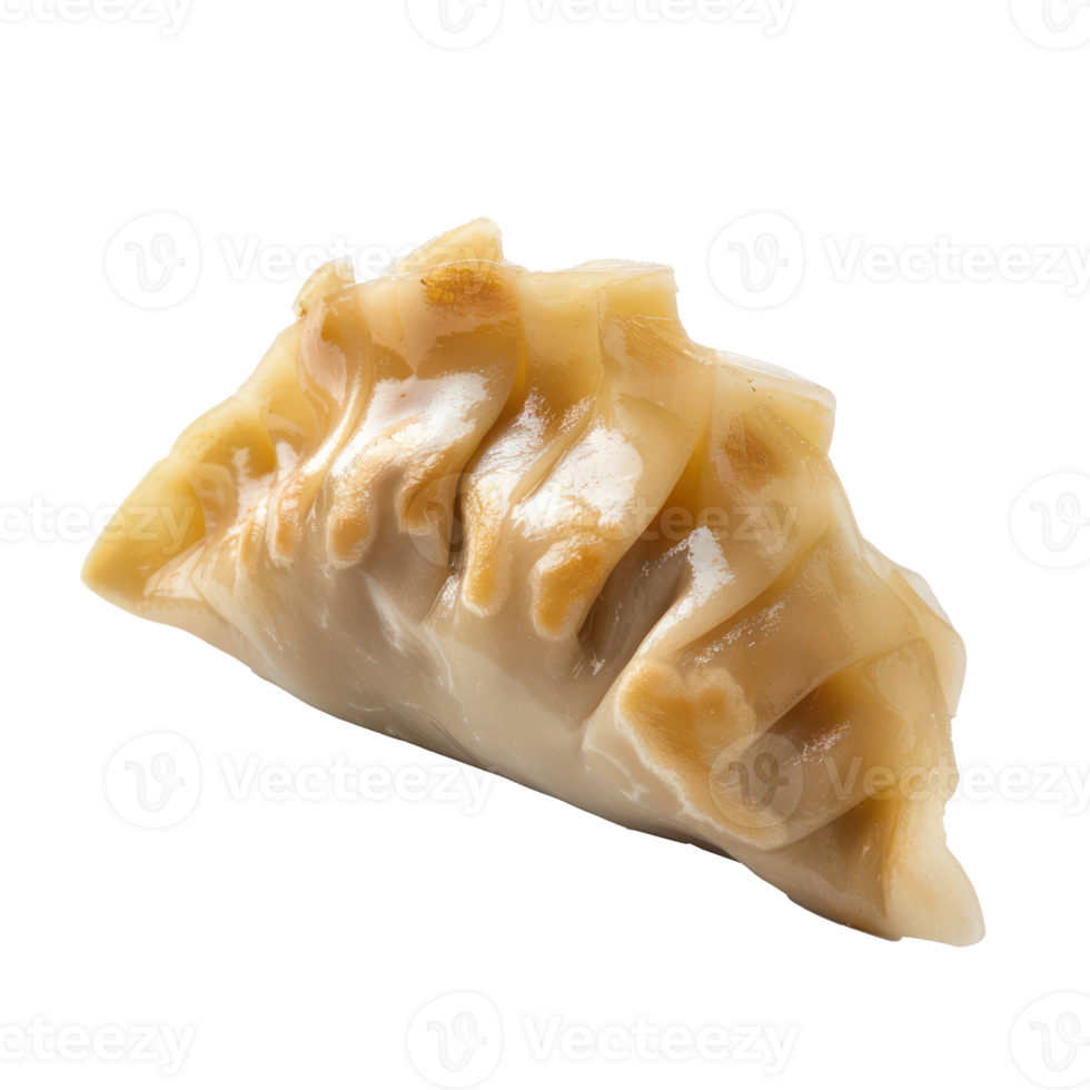 Momo dumpling side view full length isolate on transparency background png