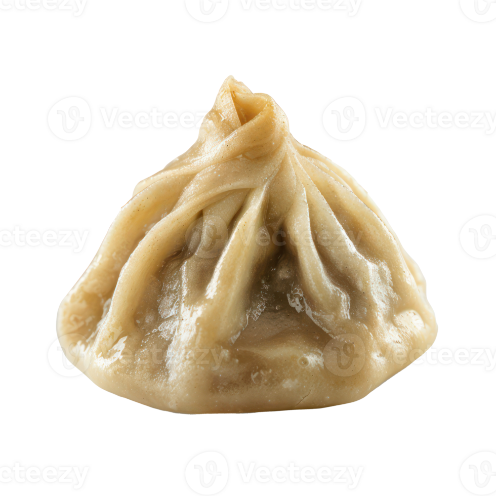 Fun guo dumpling front view full length isolate on transparency background png