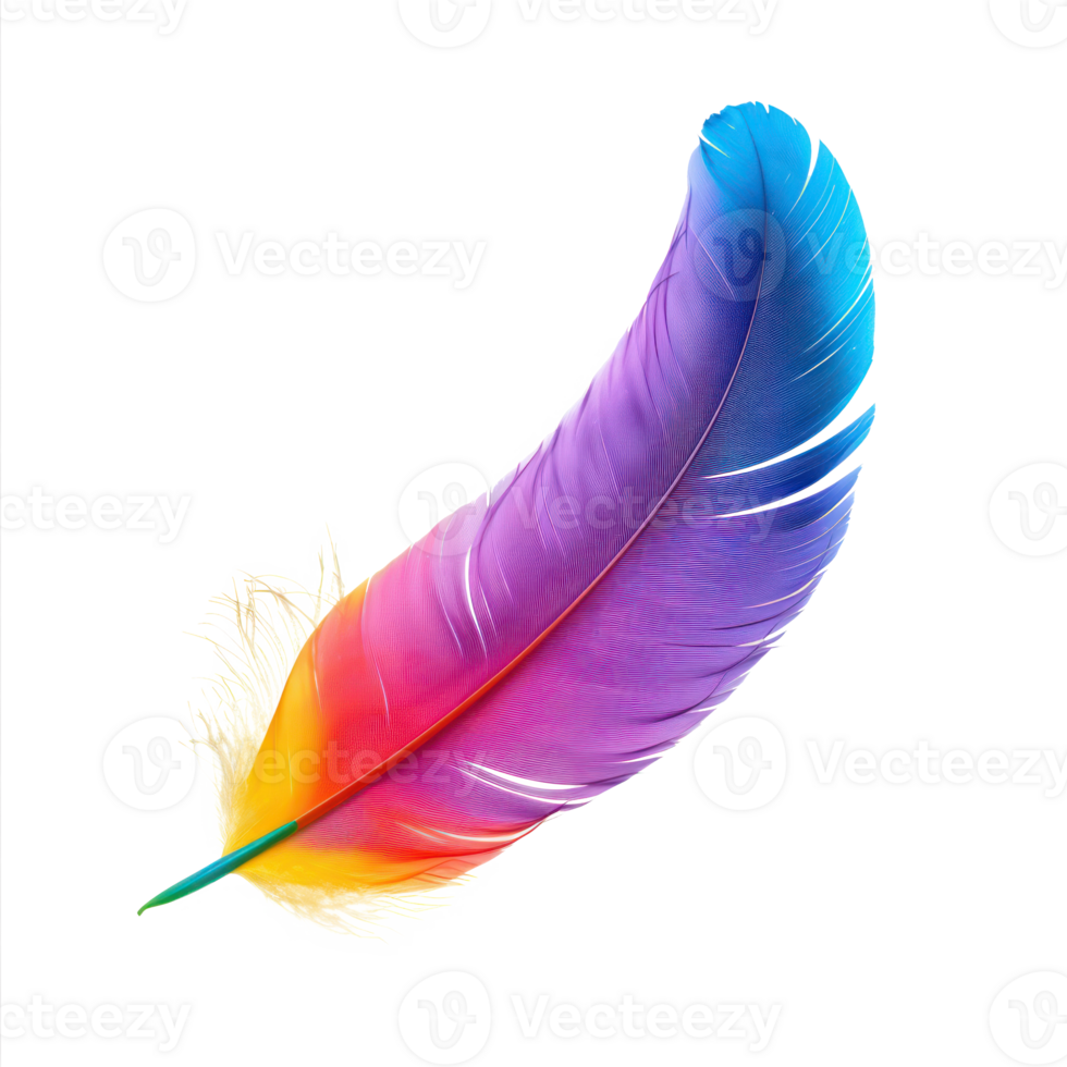 flotante vistoso pluma aislar en transparencia antecedentes png