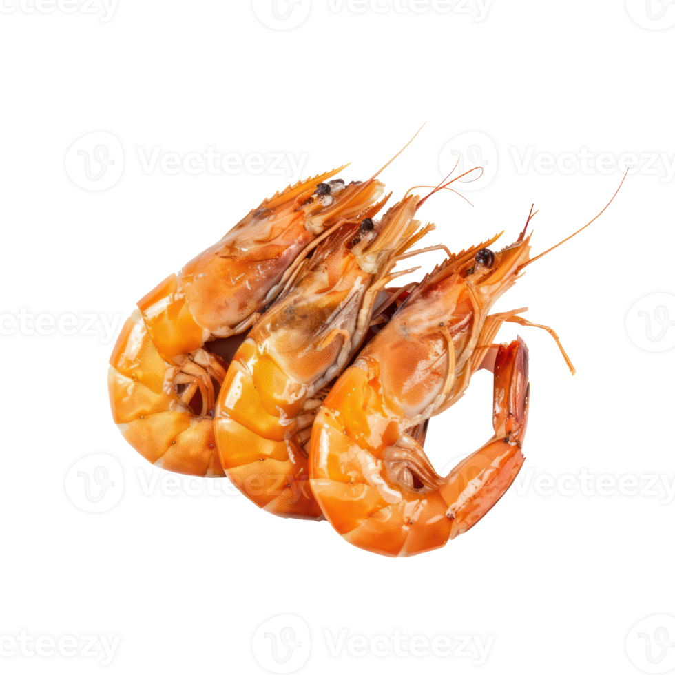 floated Boiled prawns isolate on transparency background png