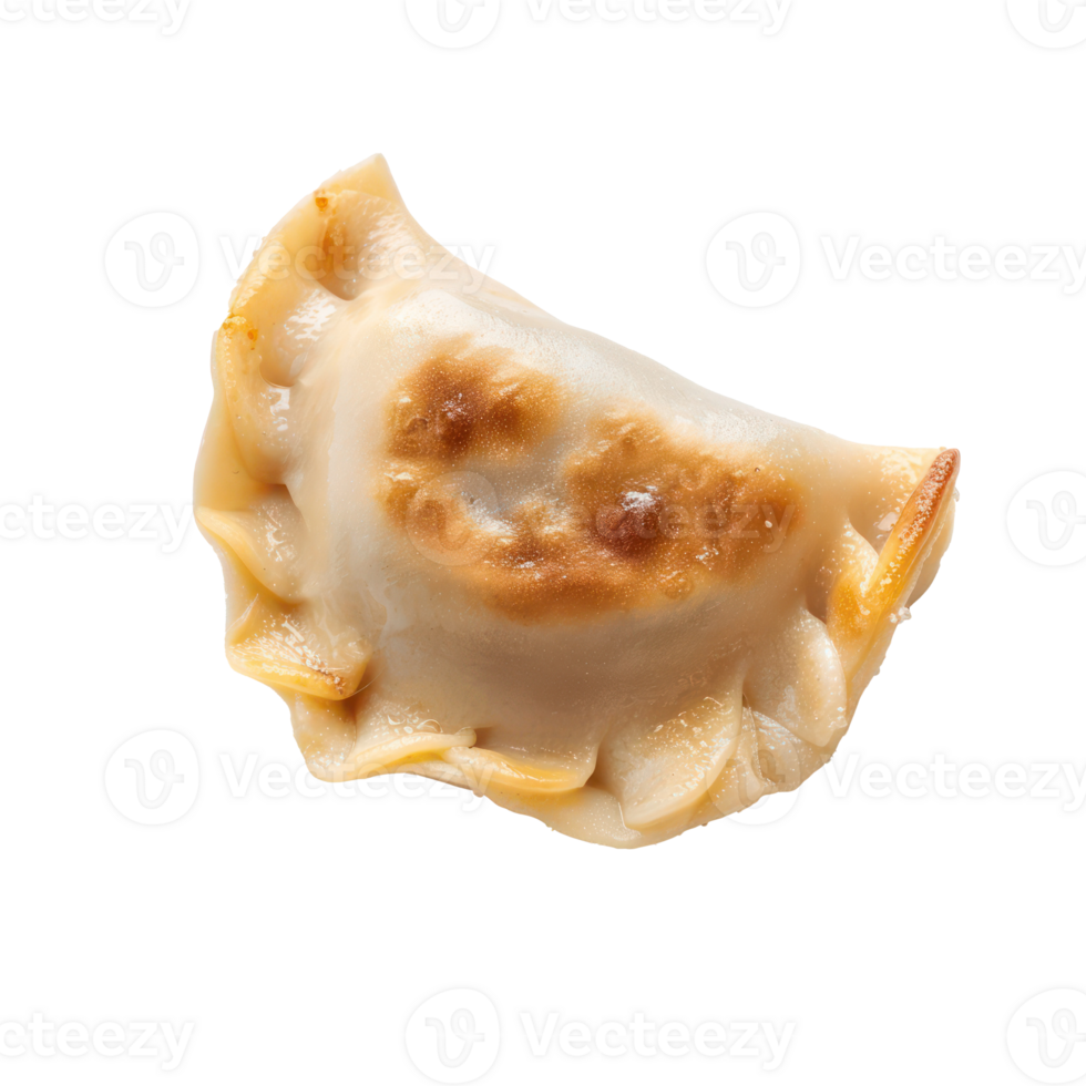Pierogi dumpling front view full length isolate on transparency background png