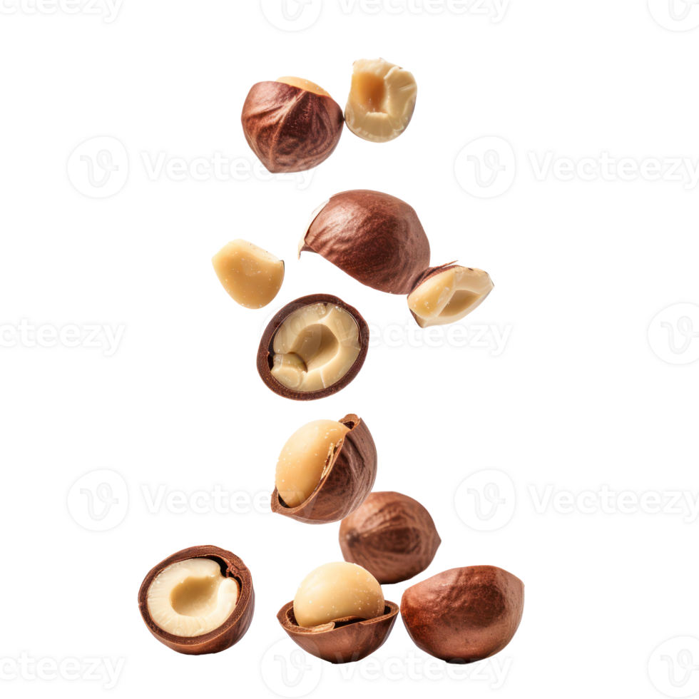 Falling Macadamia Nuts isolate on transparency background png