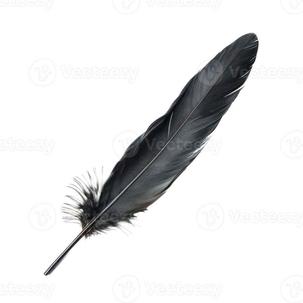 floated black feather isolate on transparency background png