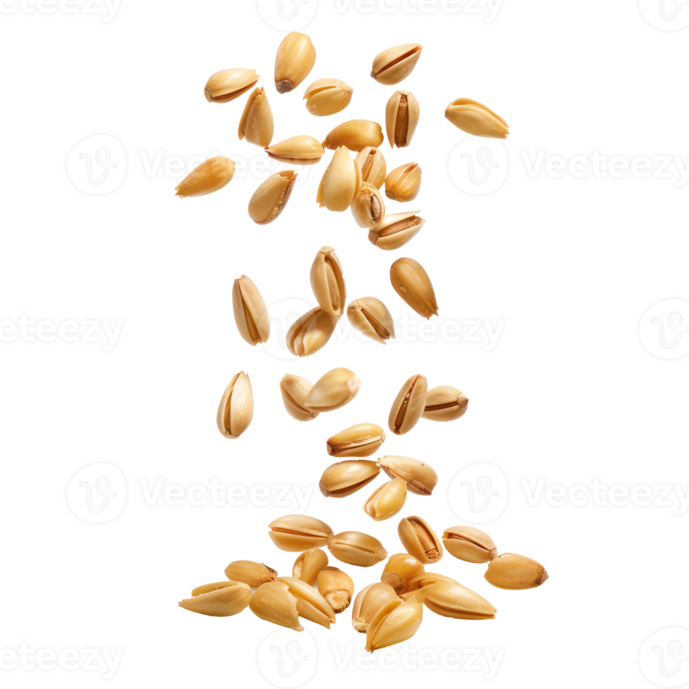 Falling Pine Nuts isolate on transparency background png