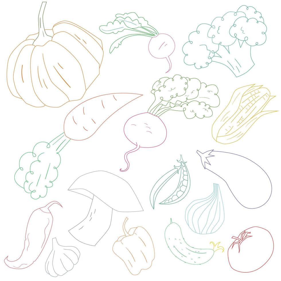 Vegetables color outline doodle hand drawn illustration vector