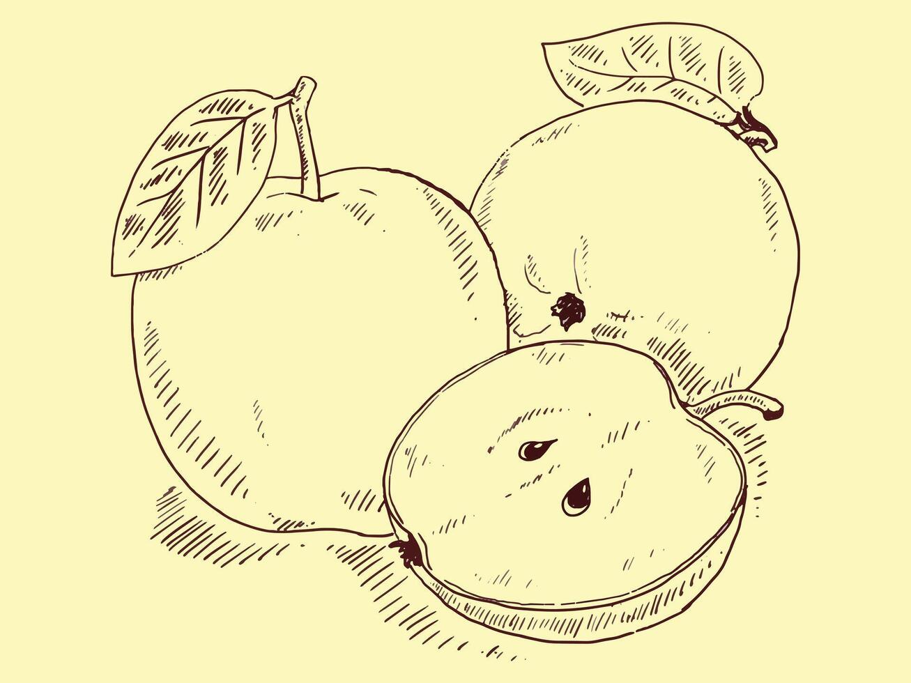 Apple sketch hand drawn doodle illustration vector