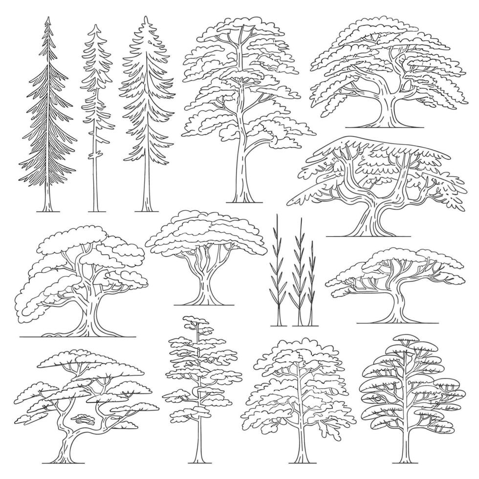 A set of trees and plants in different sizes vector