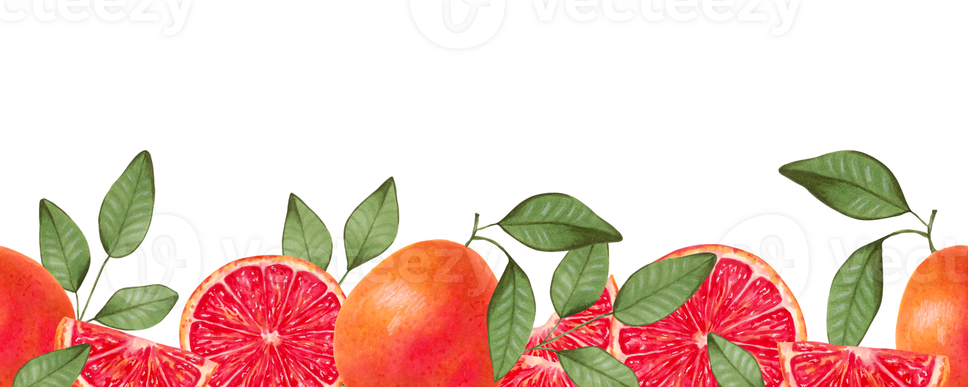 Seamless horizontal grapefruit frame. Whole and pieces of fruit with leaves. Illustration with watercolor and marker. Citrus healthy food for vegans. Border line. Vitamin C. Hand drawing isolated png