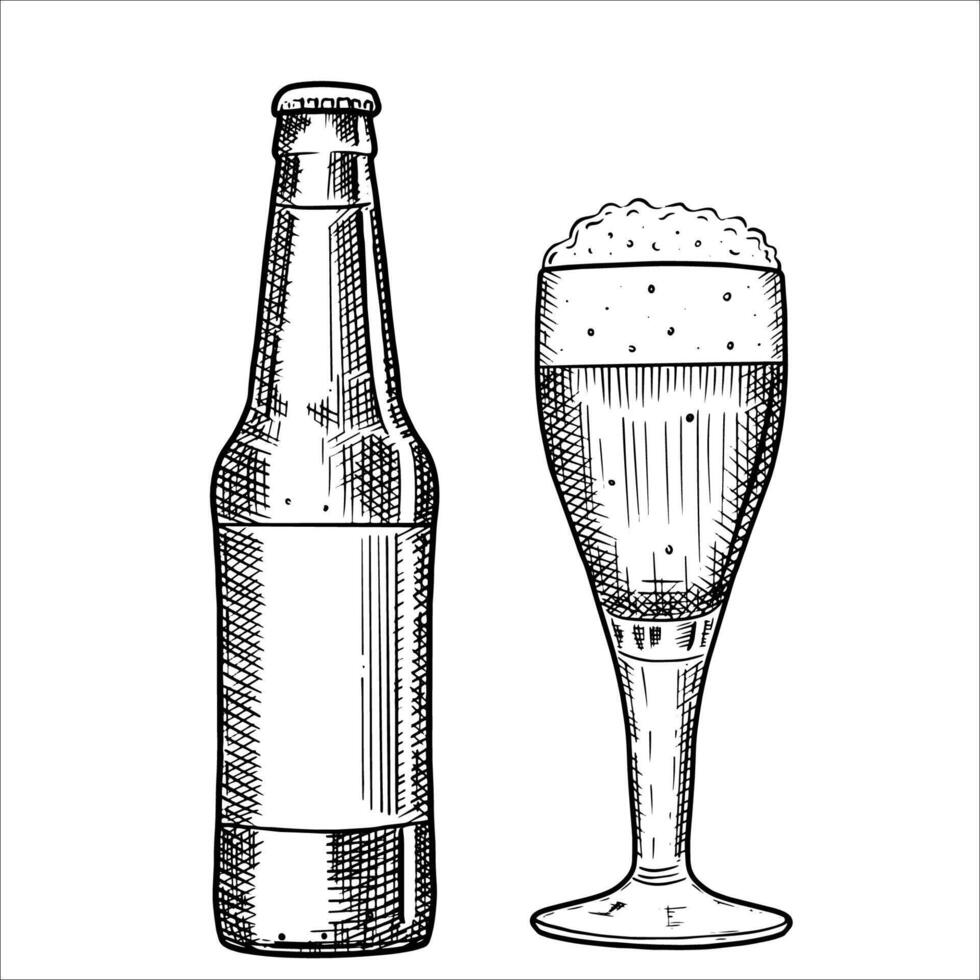 Hand drawn bottle and glass of beer. illustration vector