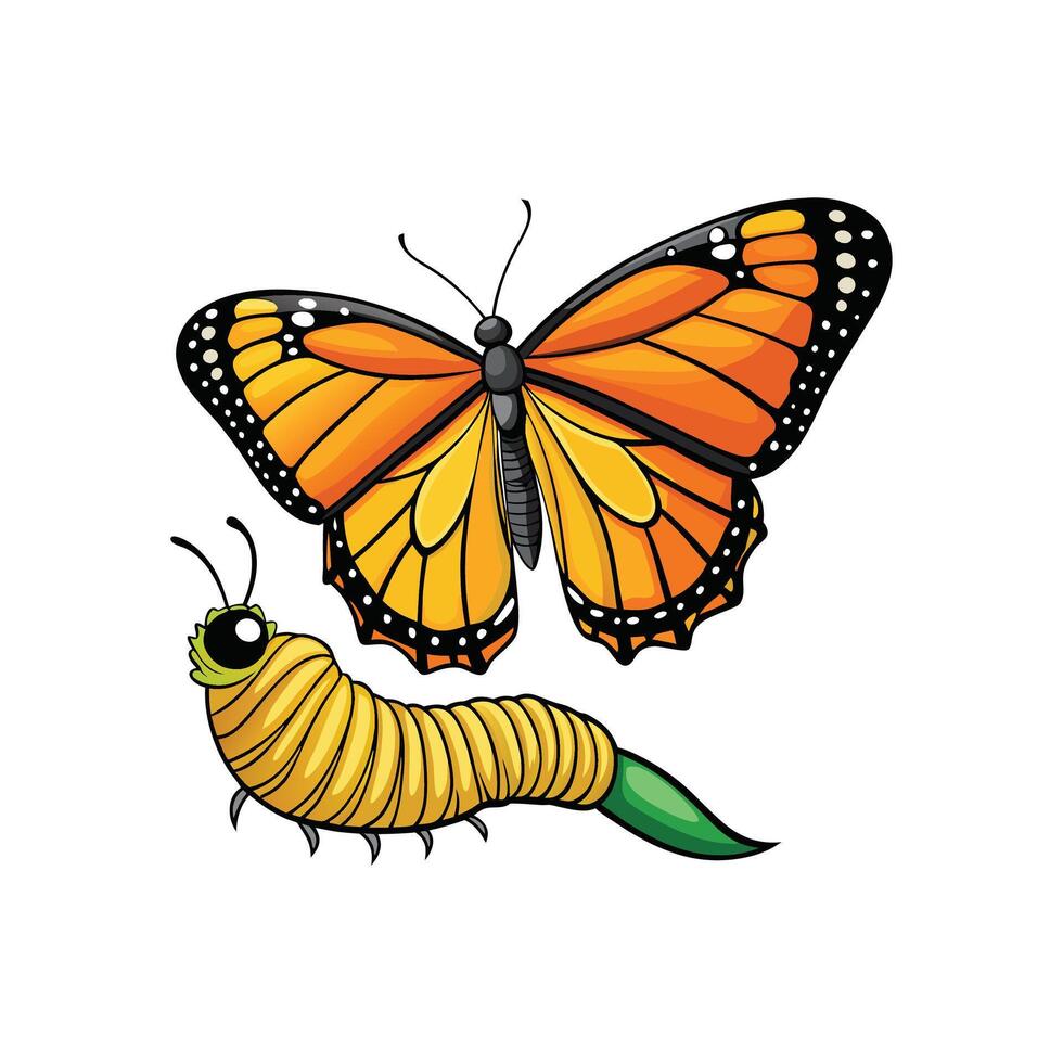 Monarch butterfly and caterpillar illustration vector