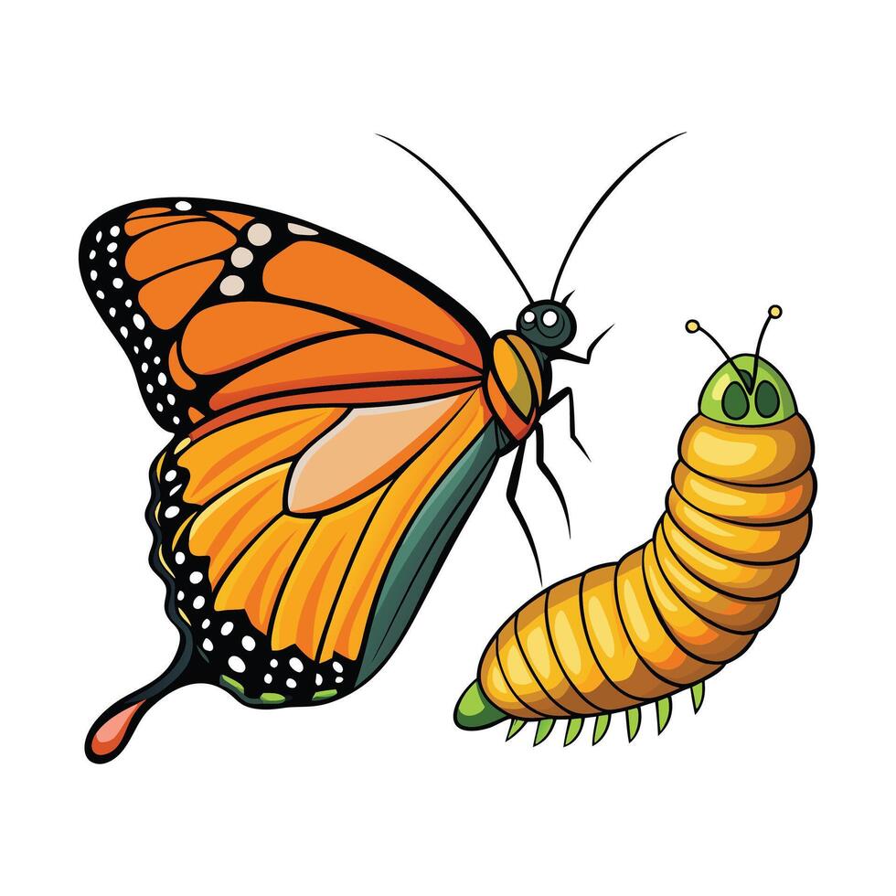 Butterfly and caterpillar vector