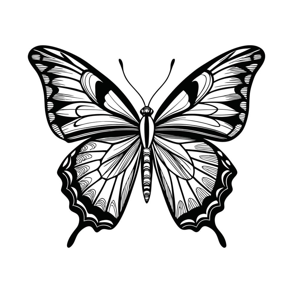 A black and white butterfly on a white background vector