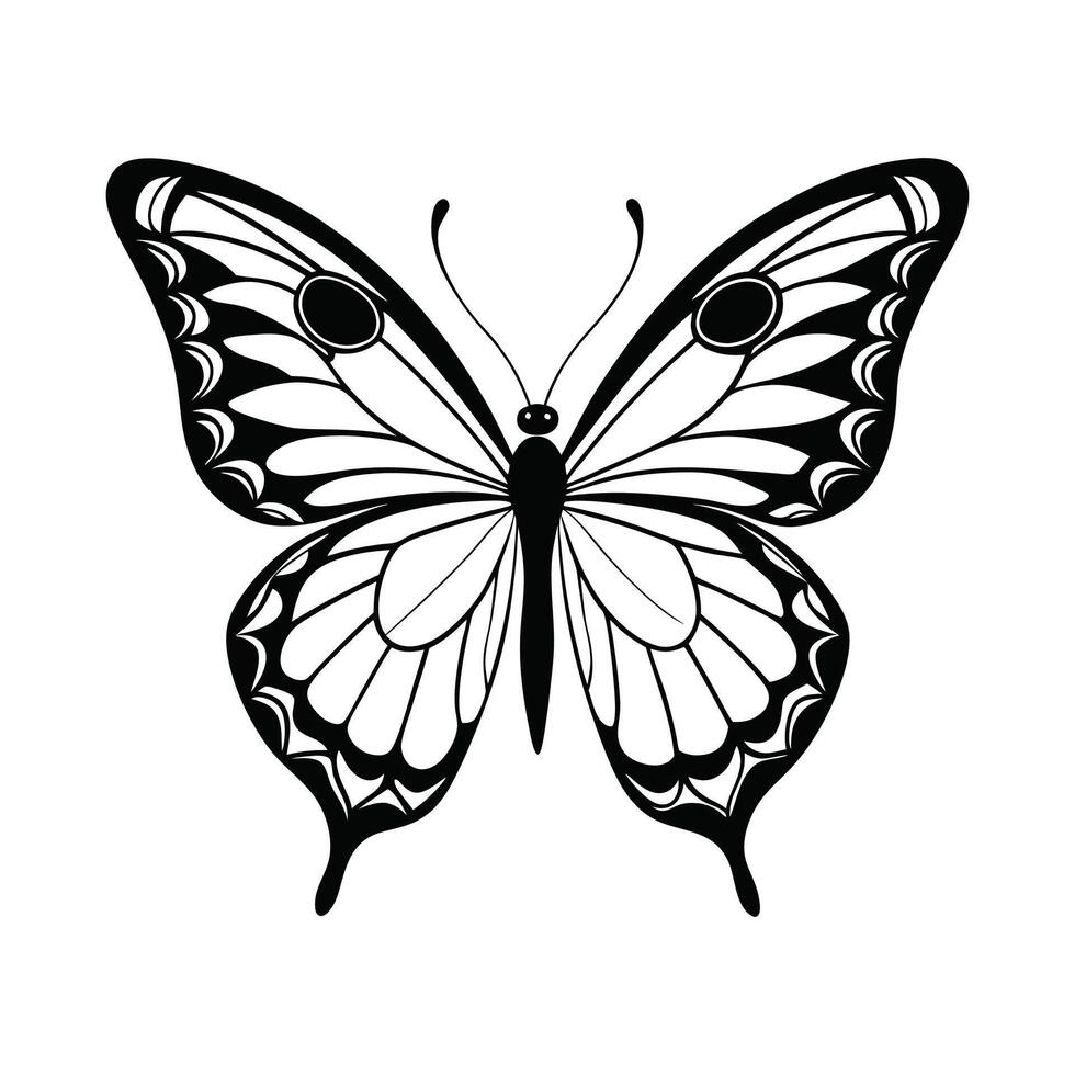A black and white butterfly on a white background vector