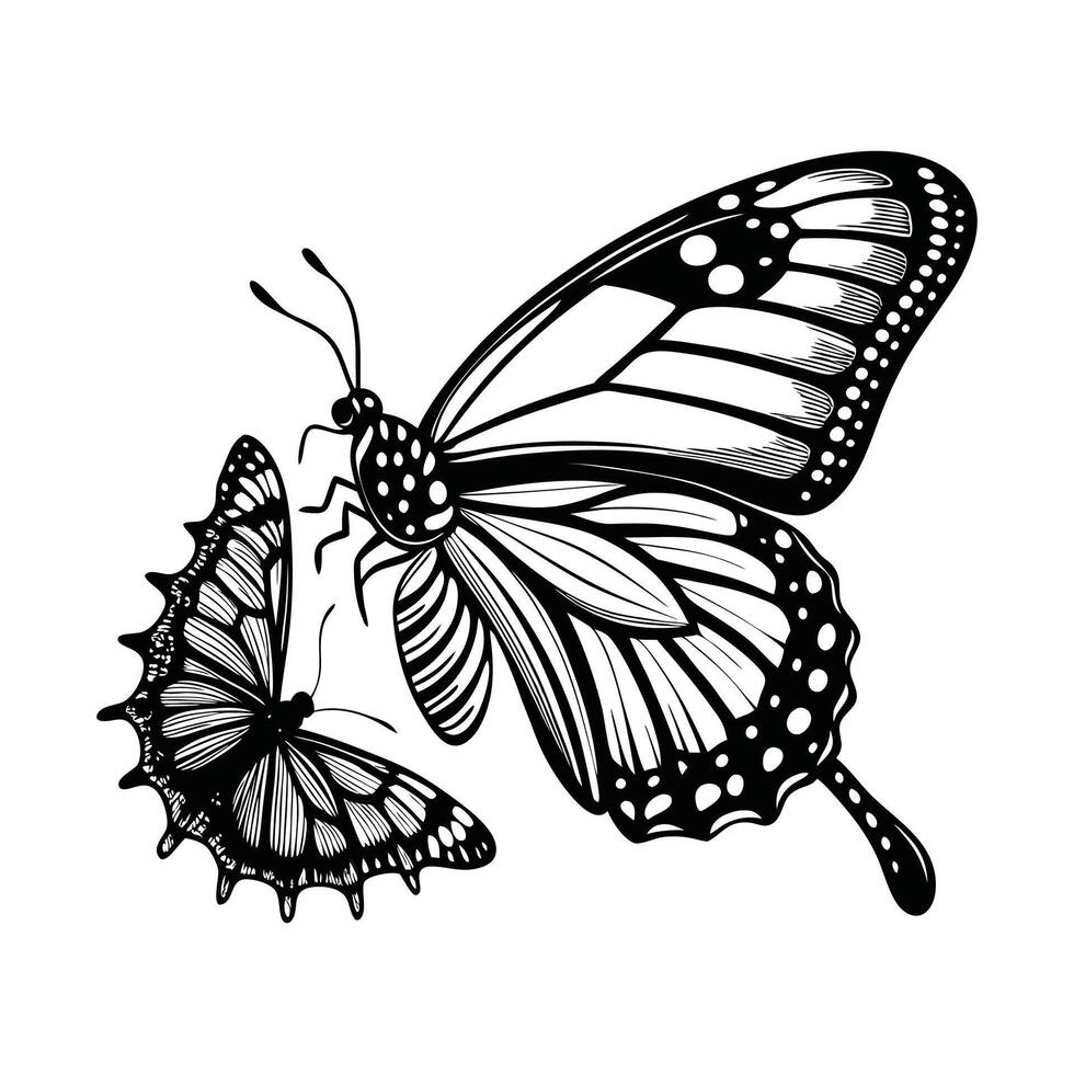 Monarch butterfly coloring pages vector