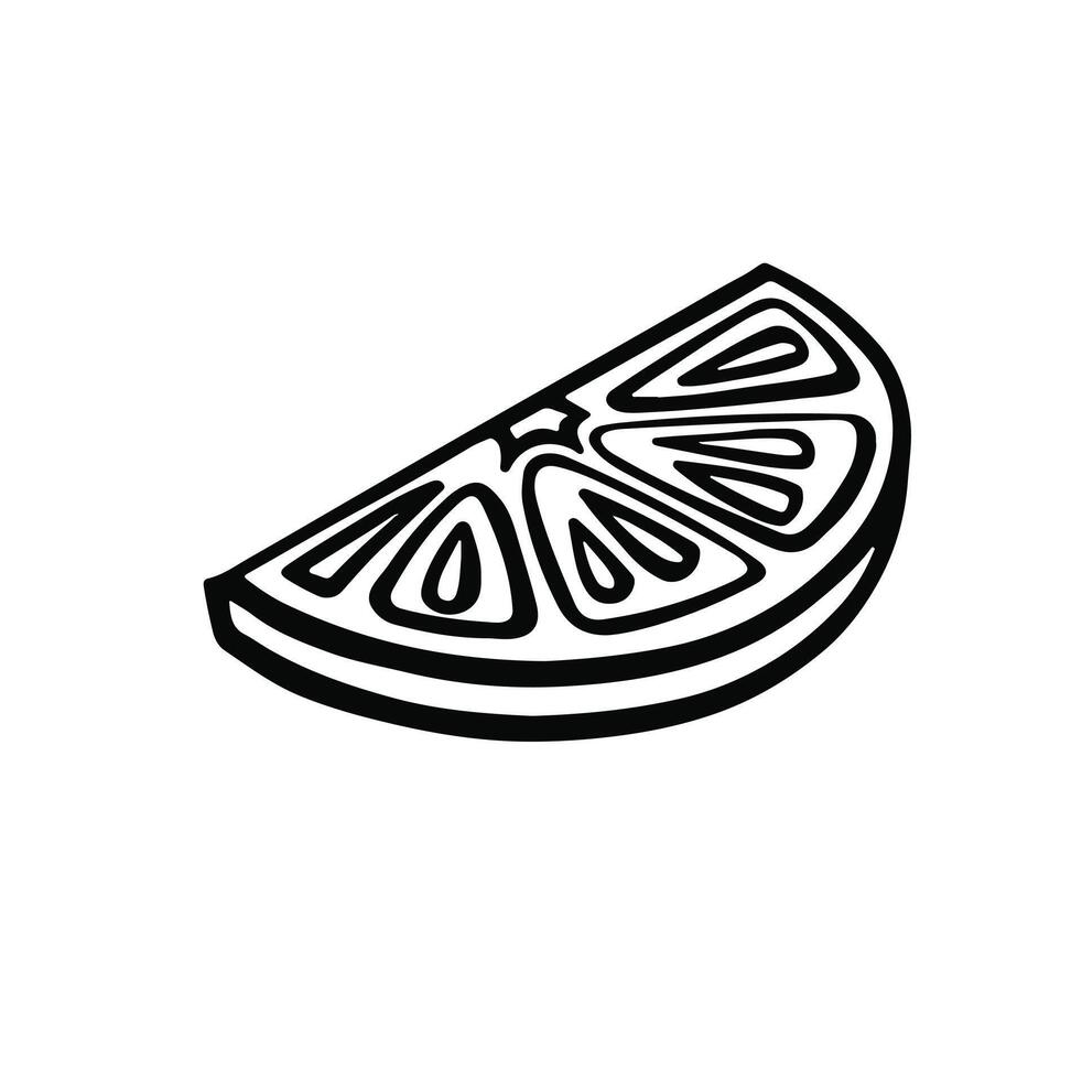 Lemon slice citrus line, outline. illustration vector