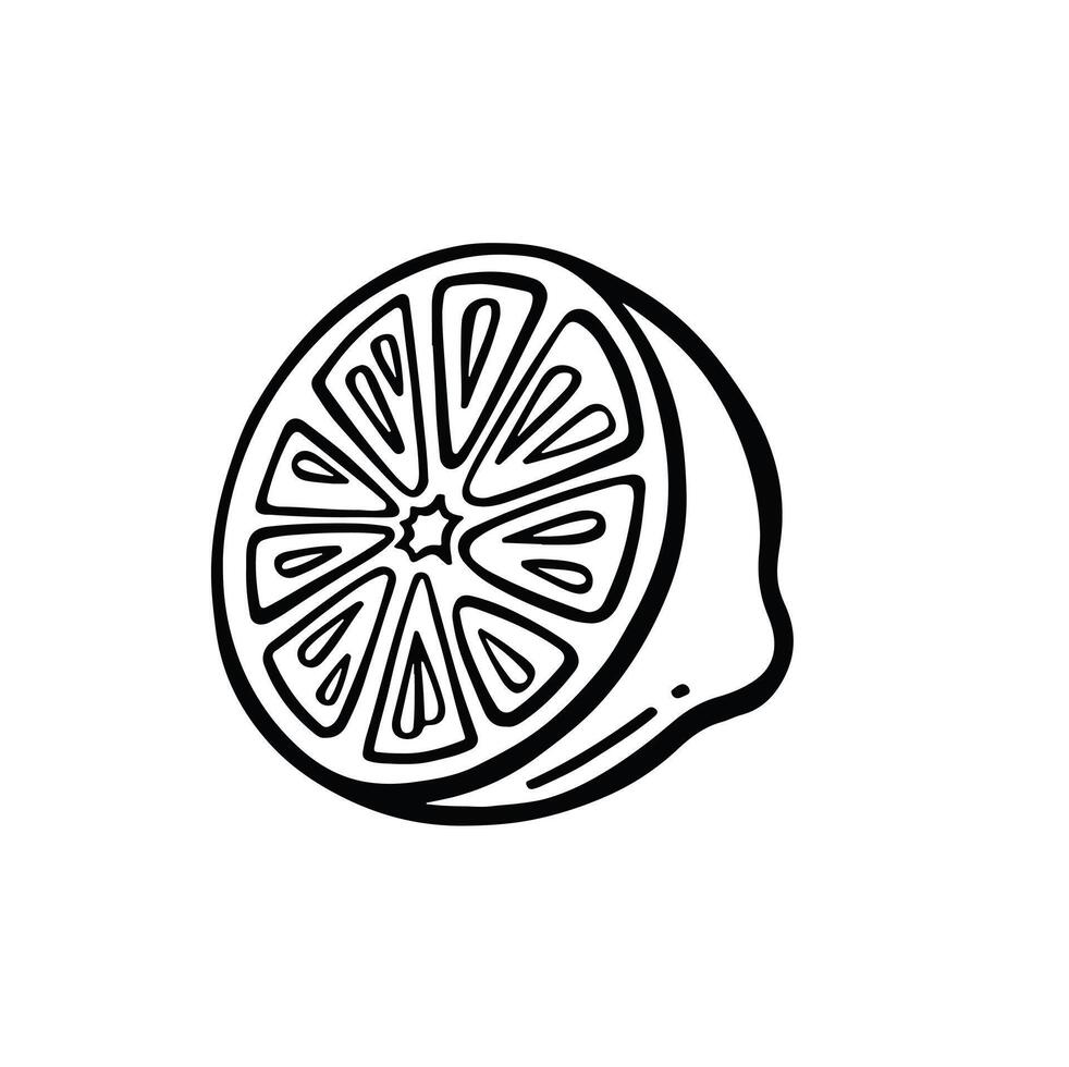 Lemon round slice. outline one citrus piece of circle shape with segments inside, slice of fresh sour lemon fruit with vitamin C, symbol of tropical summer vector