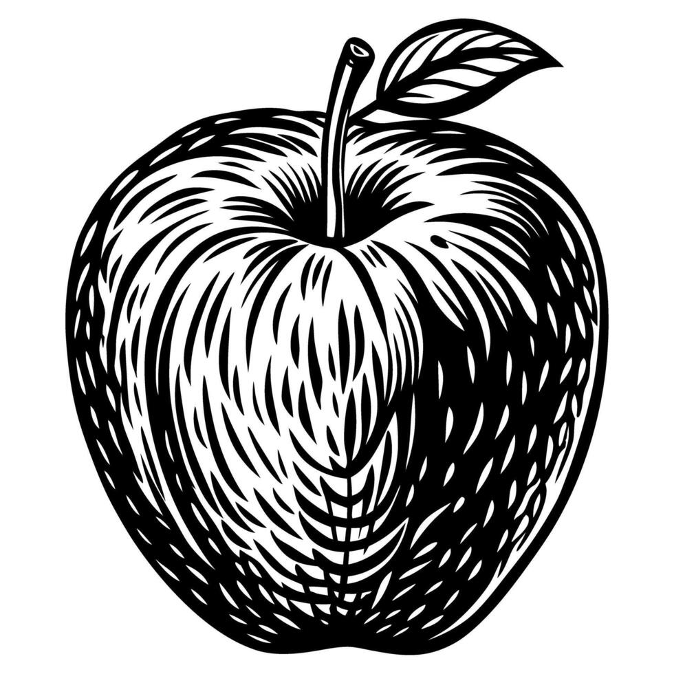 HandDrawn Vintage Apple Illustration in Black and White for Retro Design Projects vector