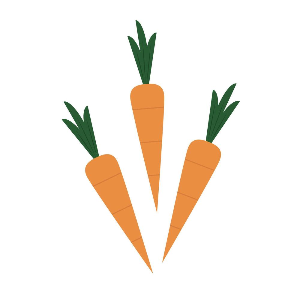 Carrot cartoon . free space for text. wallpaper. background. symbol . vector