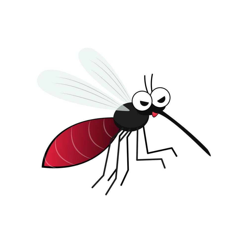 Mosquito cartoon. mosquito on white background. vector