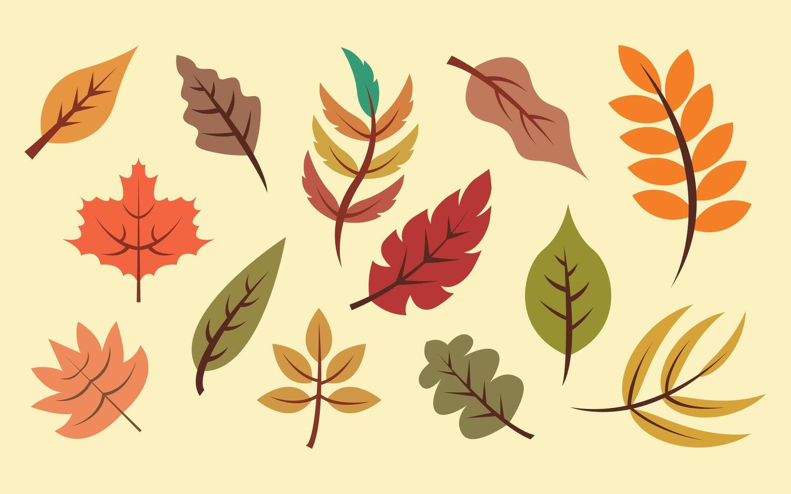 Collection of elegant autumn leaves vector