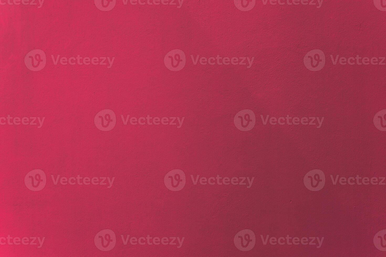Raspberry pink color similar to evening primrose paint on cement wall texture as background. photo