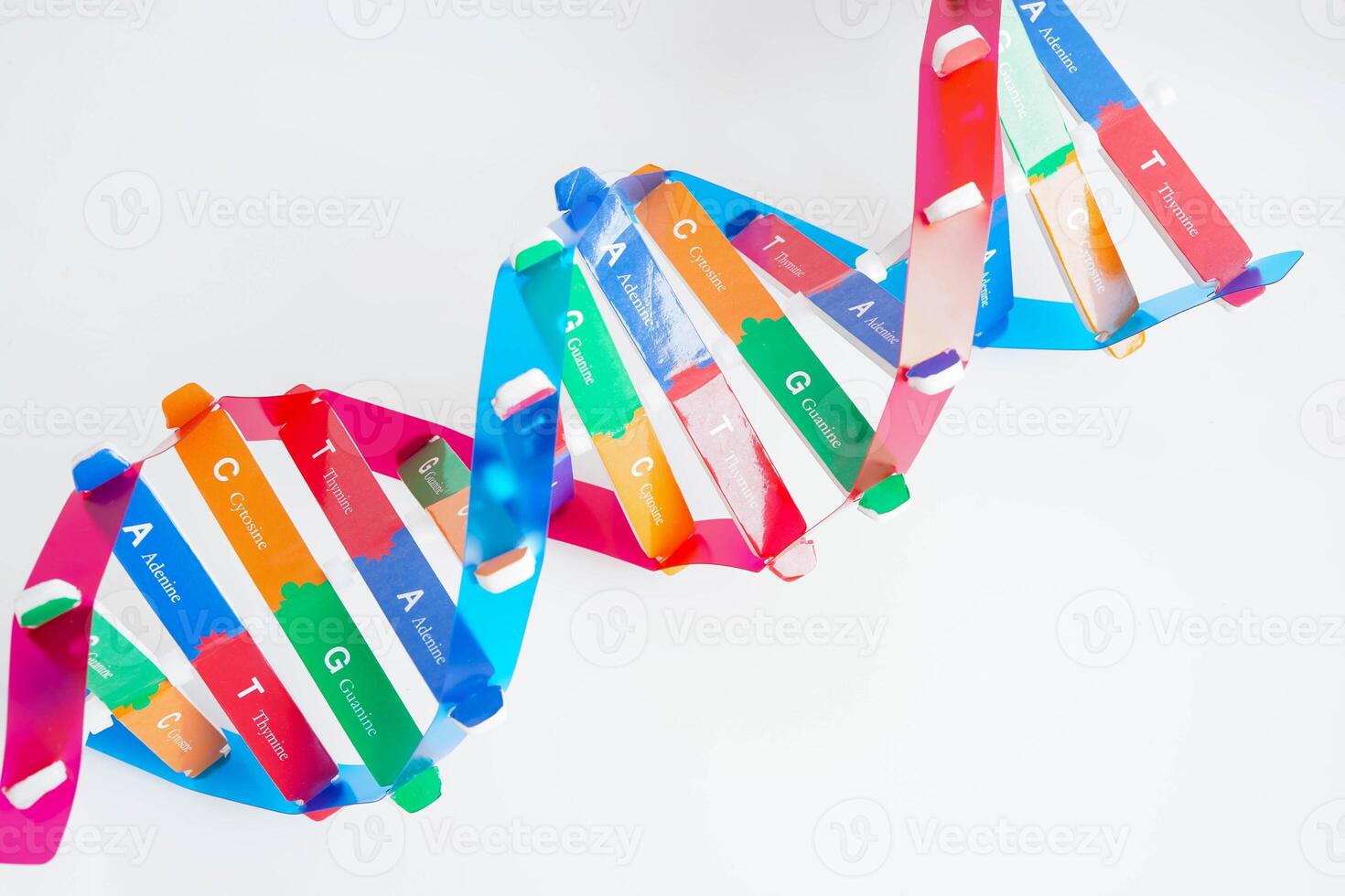 DNA molecule spiral structure model isolated on white background, chromosome and gene chemical science biology. photo