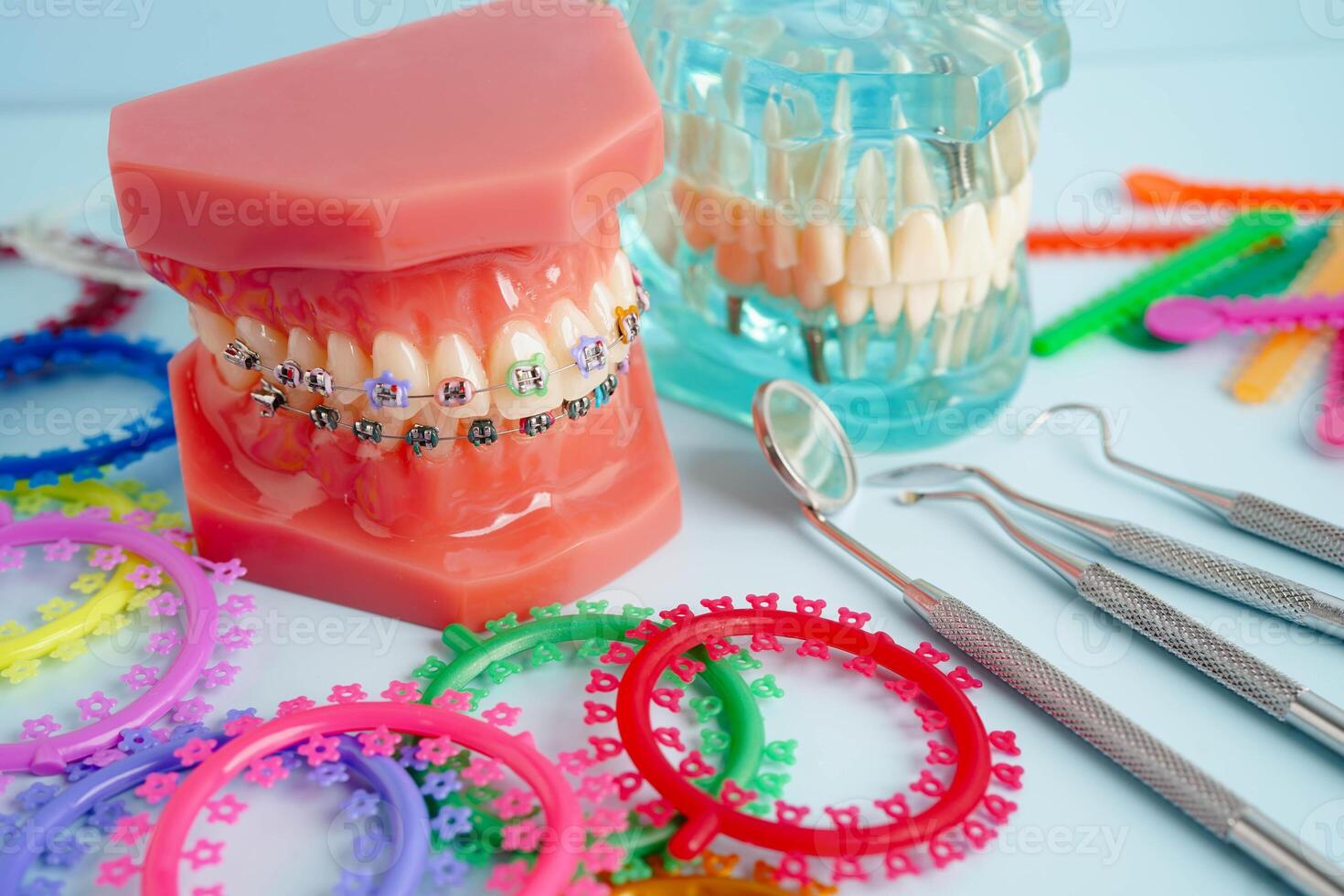 Orthodontic ligatures rings and ties, elastic rubber bands on orthodontic braces, model for dentist studying about dentistry. photo