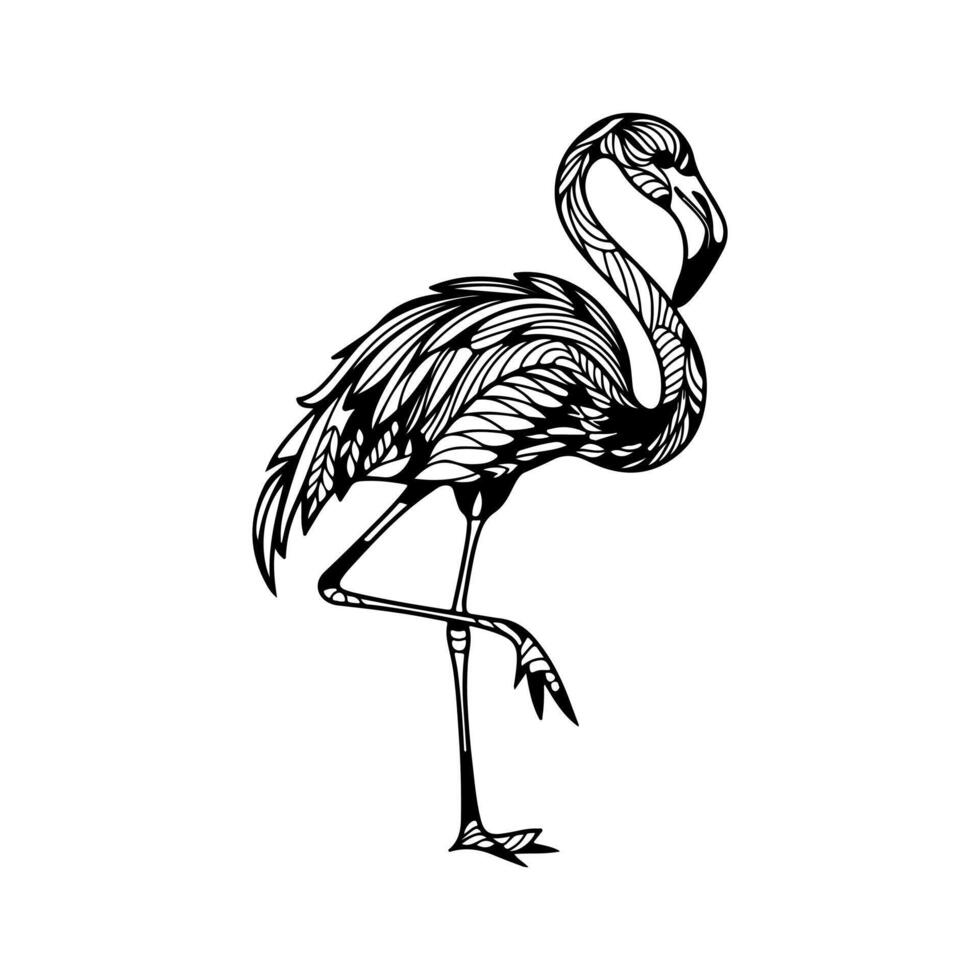 Hand drawn flamingo bird. vector