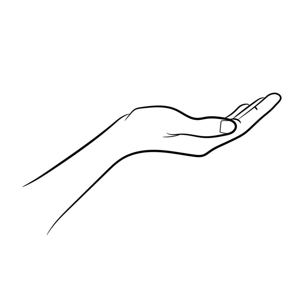 Hand line art vector