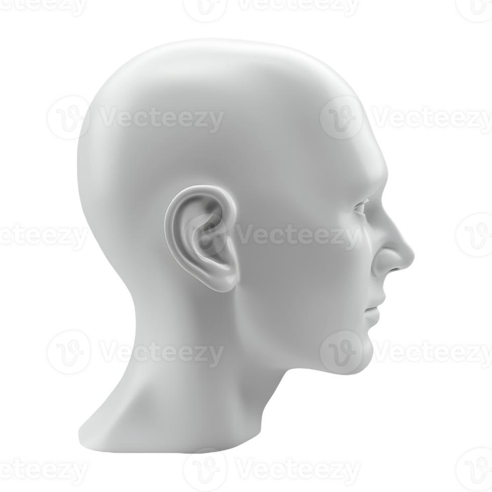 White Mannequin Head in Profile View, 3D Illustration On Isolated Background png