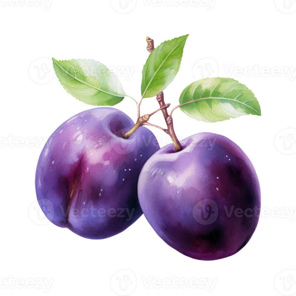 A plum fruit isolated on transparent background, exotic, tropical fruit, summer clipart png