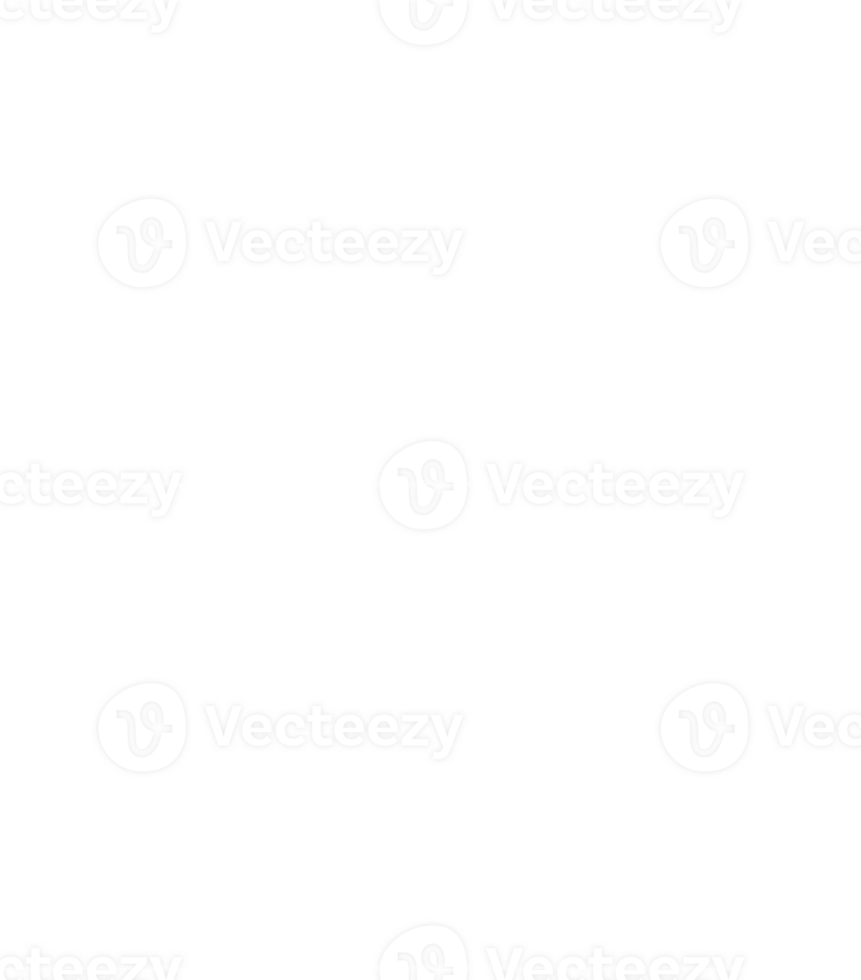 Intricate White Snowflake Design png