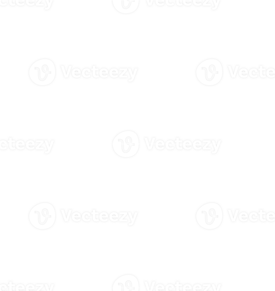 Complex White Snowflakes on Christmas and New Year's Day. png