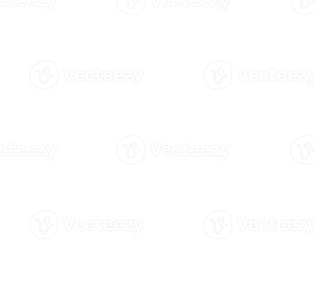 Elegant White Snowflake illustration. png