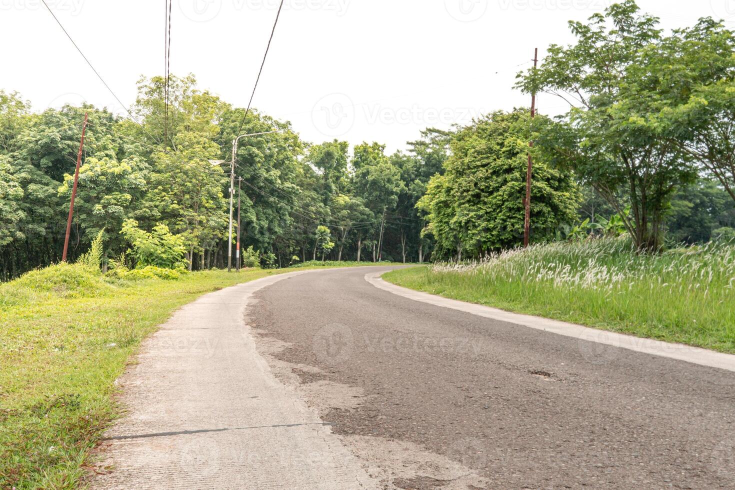 Empty street, green city park with blue sky. Pathway and beautiful trees track for running or walking and cycling relax in park on green grass field on the side photo