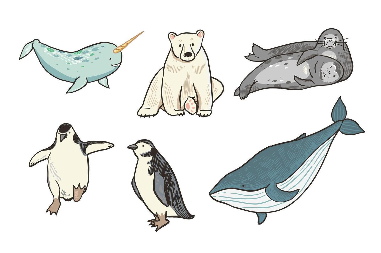 Set of hand drawn penguins, sea animals. illustration. vector
