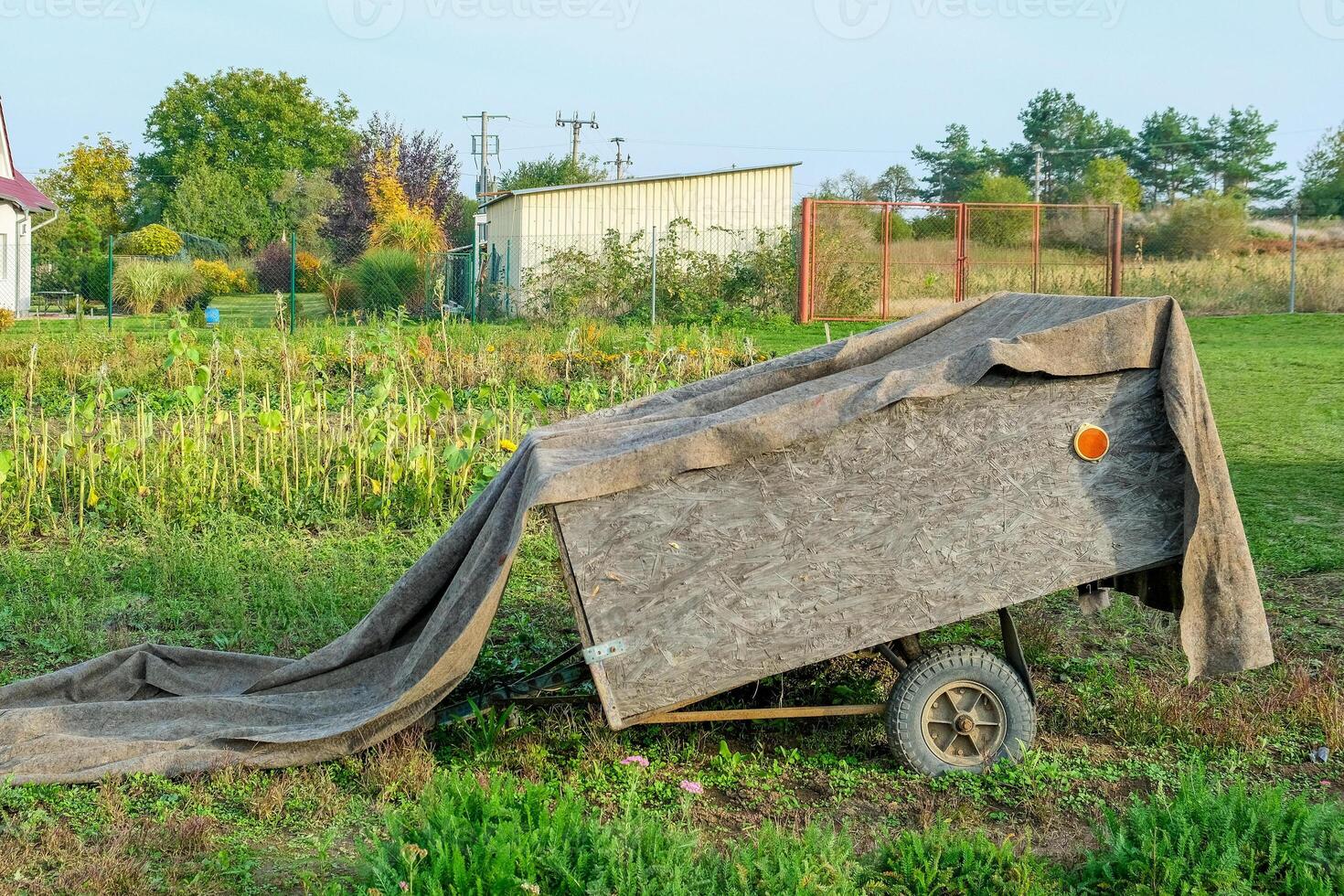 Empty wooden trailer in the field on a farm, ready for harvest use photo