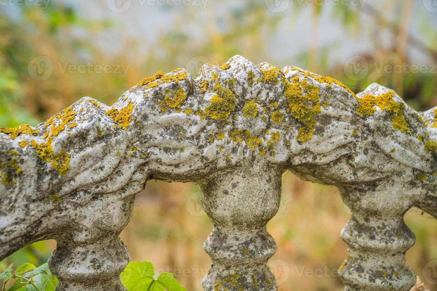 Mossy Stone Bridge Railing in Lush Forest Eye-Level Perspective photo