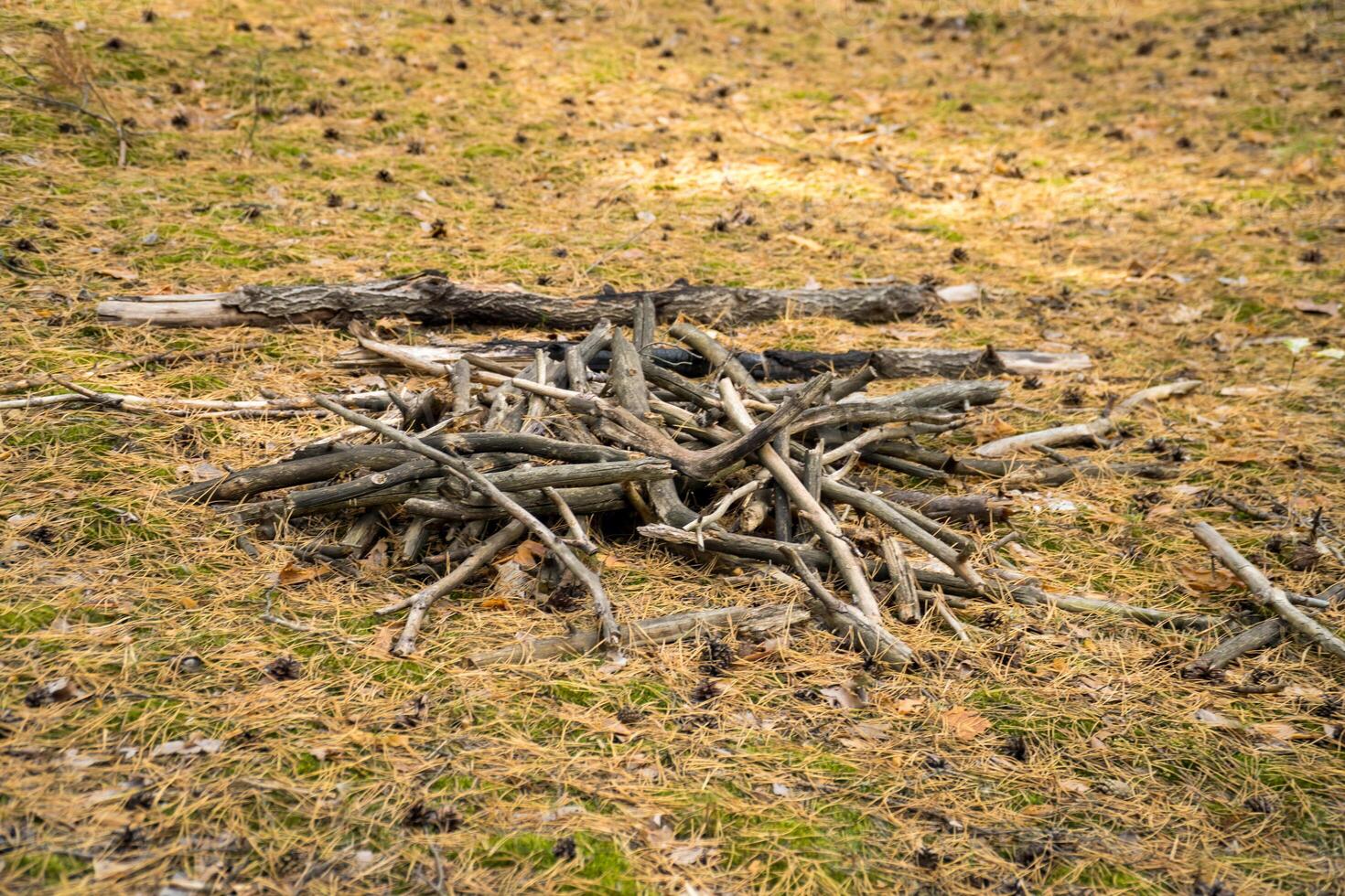 Burning piles of dry branches in plots, in addition to environmental pollution, photo