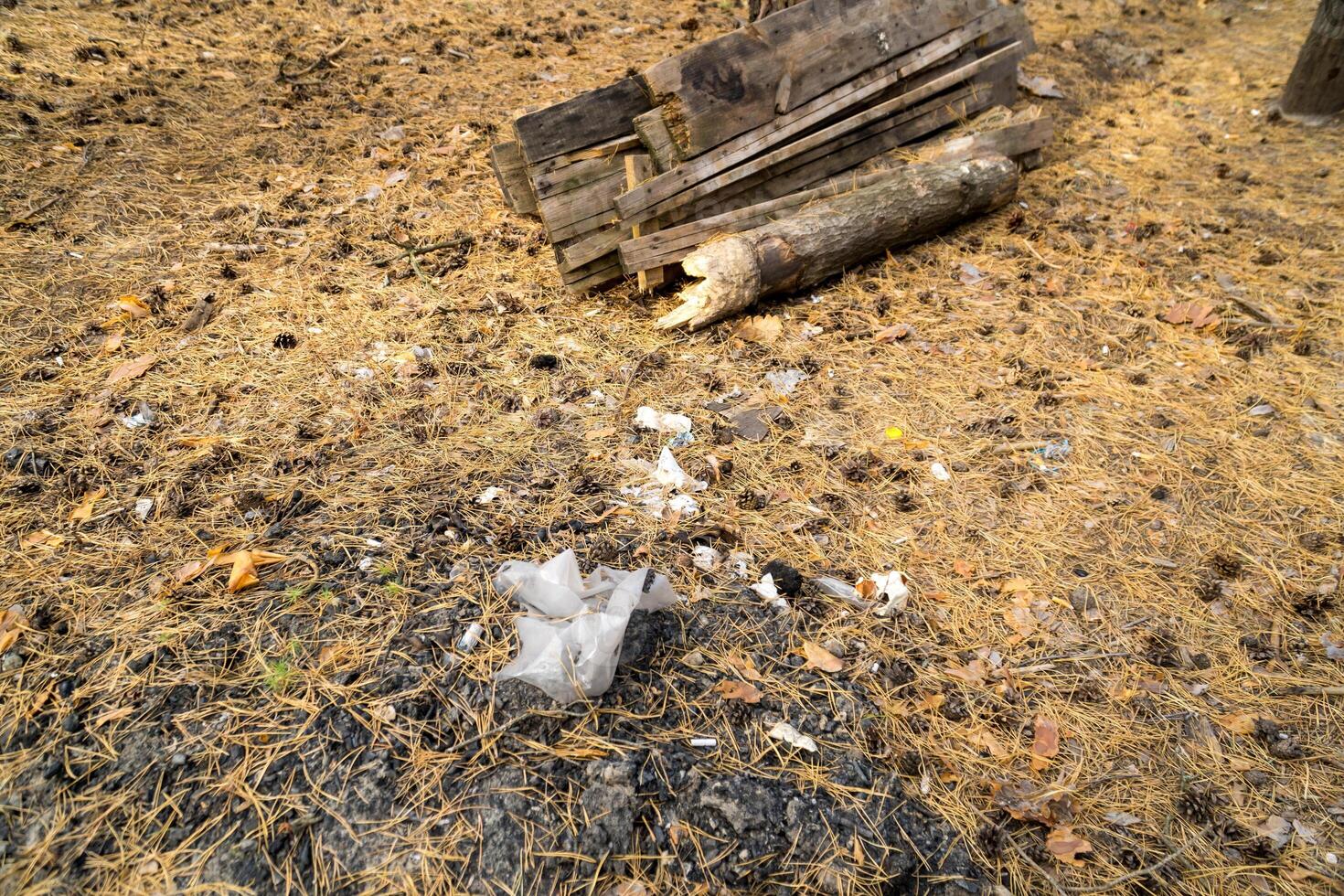 Plastic bottles and trash littering a forest floor with green foliage. photo